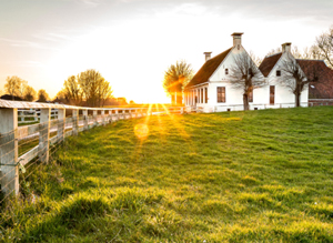 Commercial Supply & Installation of Fences Company