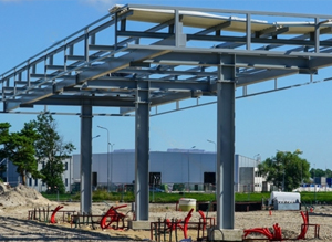 The Petroleum Group of Company