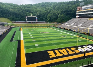 Developer In The Turf Industry | ProjectPro Case Study